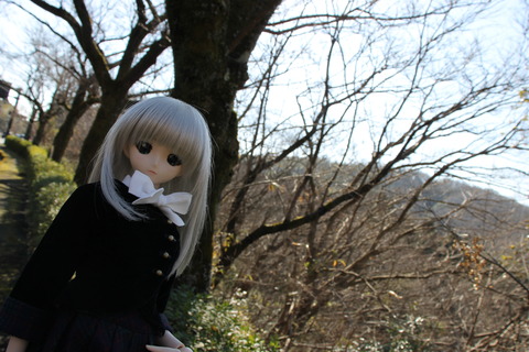 まぼろし博覧会 251