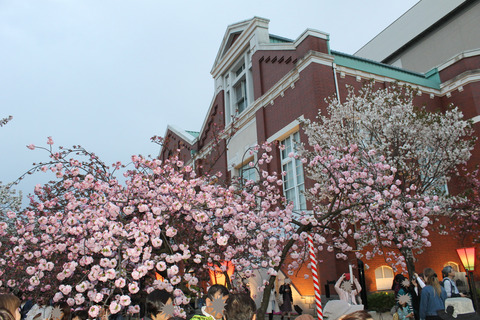 大阪城公園花見 163-2