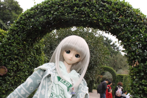 香港・マカオ 426