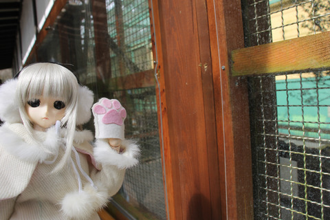 富士サファリパーク 039-2