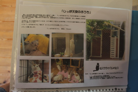 ユイリちゃんオフ会 168