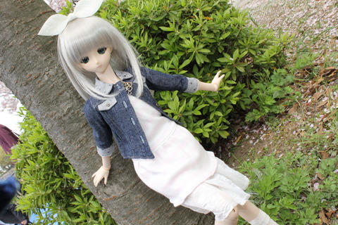 大阪城公園花見 075