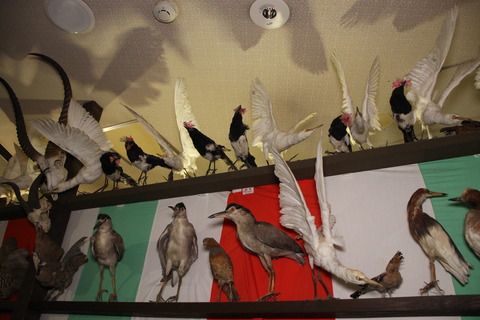 まぼろし博覧会 211