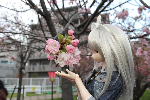 大阪城公園花見 135