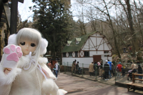 富士サファリパーク 025