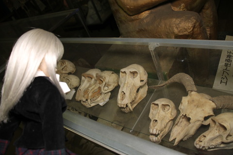 まぼろし博覧会 206