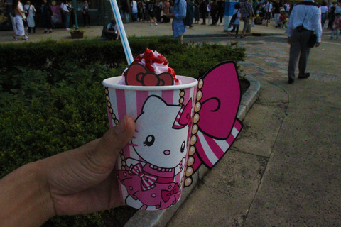 USJ、大阪自然史博物館 110-2