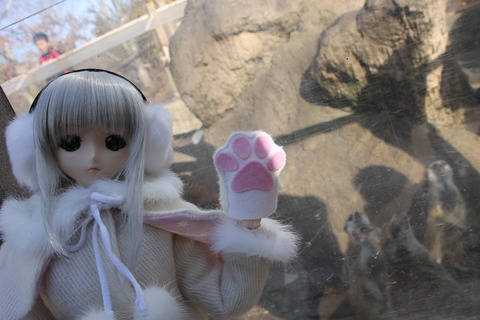 富士サファリパーク 147