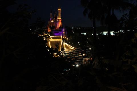 ディズニーハロウィン 225