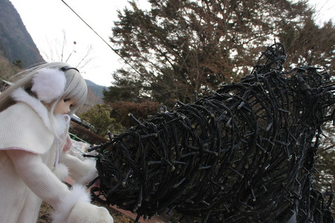 富士サファリパーク 064