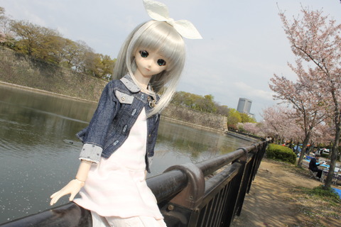 大阪城公園花見 011