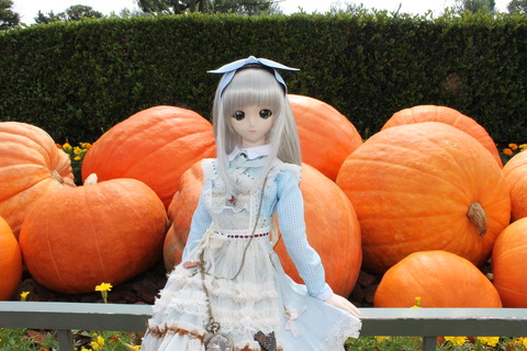 ディズニーハロウィン 142