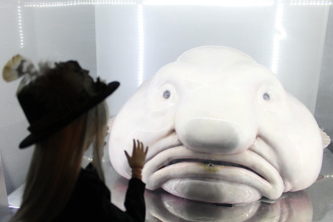 東京ゲームショー、スカイツリー 557
