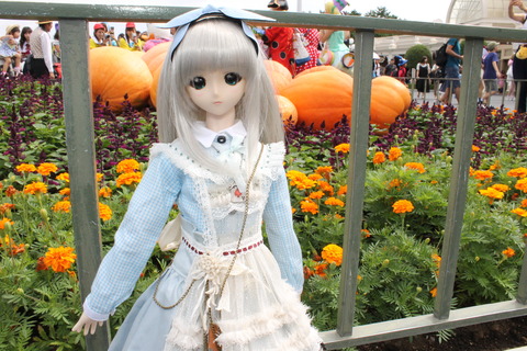 ディズニーハロウィン 014