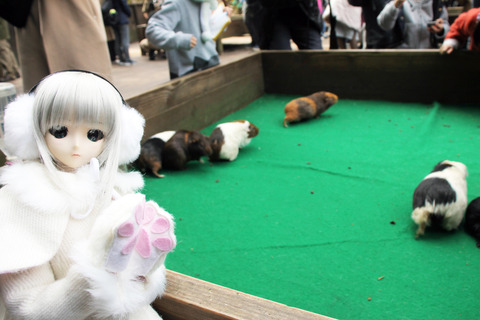 富士サファリパーク 049-2