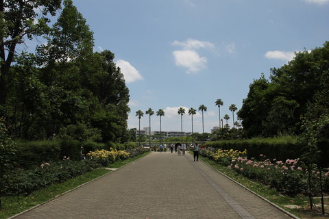 USJ、大阪自然史博物館 456