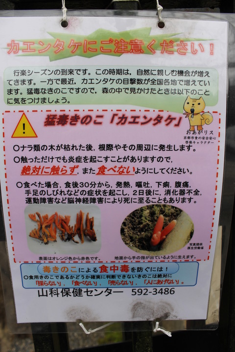 京都ドルパ１３ 015