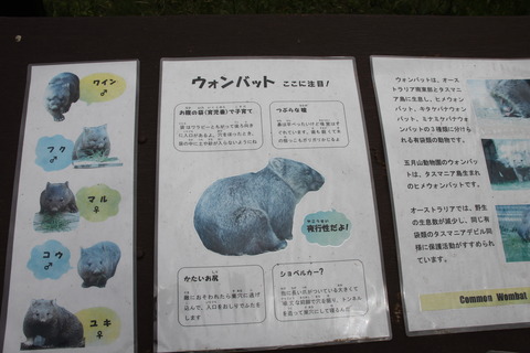 カップヌードルミュージアム 282