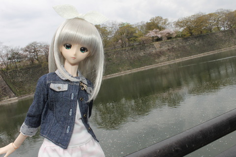 大阪城公園花見 058