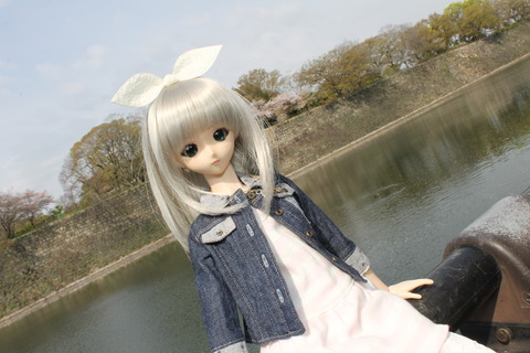 大阪城公園花見 006