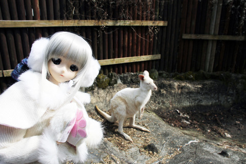 富士サファリパーク 057-2