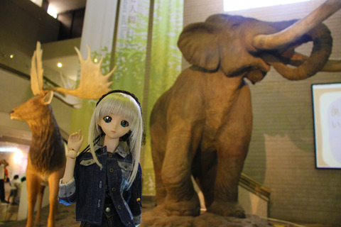 USJ、大阪自然史博物館 440-2