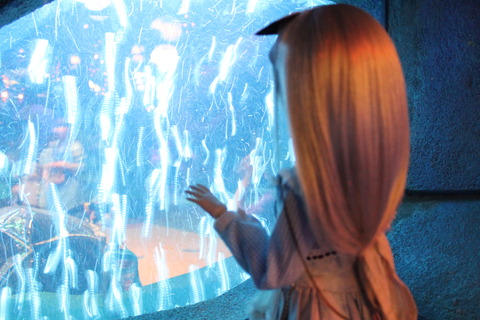 ディズニーハロウィン 715