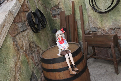 浅草、狩猟感謝祭、ディズニーシー 283