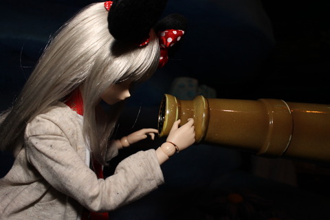 浅草、狩猟感謝祭、ディズニーシー 277