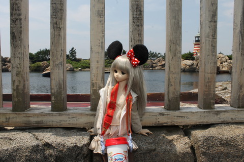 浅草、狩猟感謝祭、ディズニーシー 220