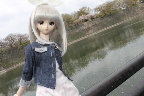 大阪城公園花見 057