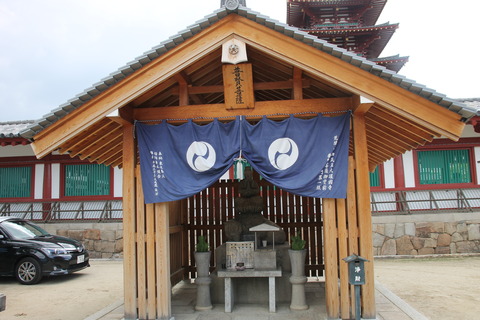 USJ、大阪自然史博物館 511
