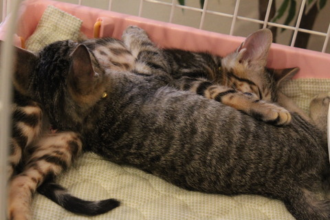 ユイリちゃんオフ会 125