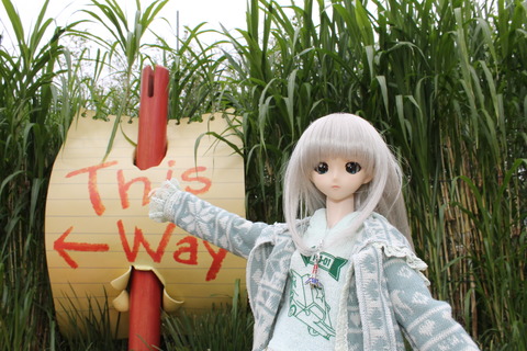 香港・マカオ 477