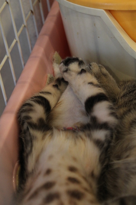 ユイリちゃんオフ会 130