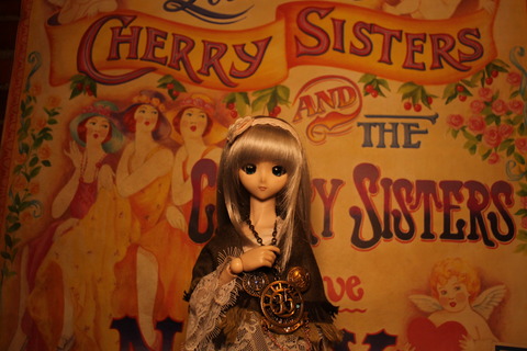 サンリオ、シー、はしご 304