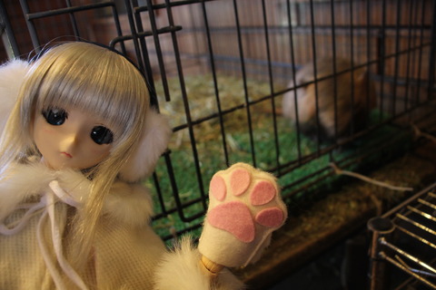 富士サファリパーク 139