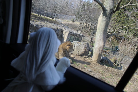 富士サファリパーク 193