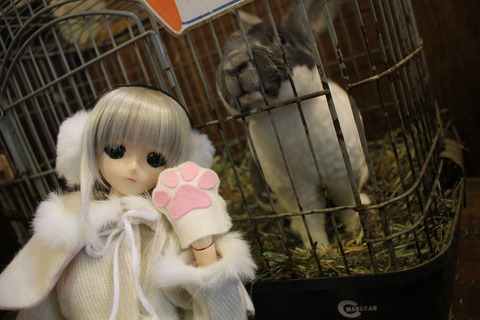 富士サファリパーク 107