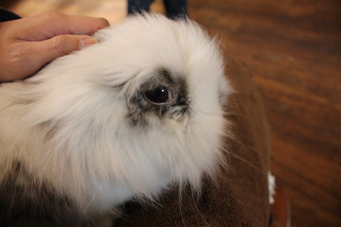 富士サファリパーク 075