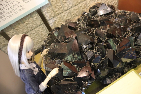USJ、大阪自然史博物館 388