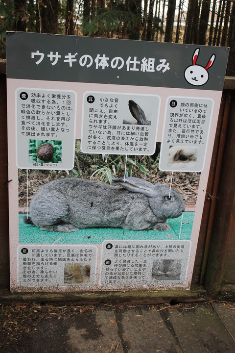 富士サファリパーク 046