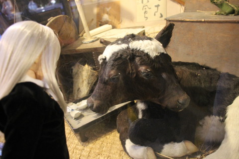 まぼろし博覧会 295