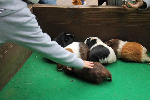 富士サファリパーク 051