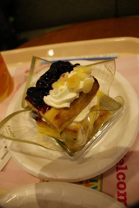 USJ、大阪自然史博物館 017-2