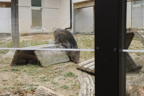 カップヌードルミュージアム 277