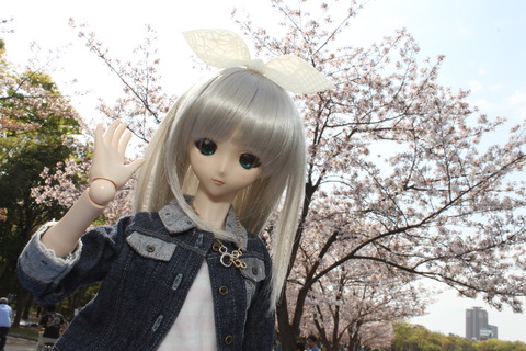 大阪城公園花見 009