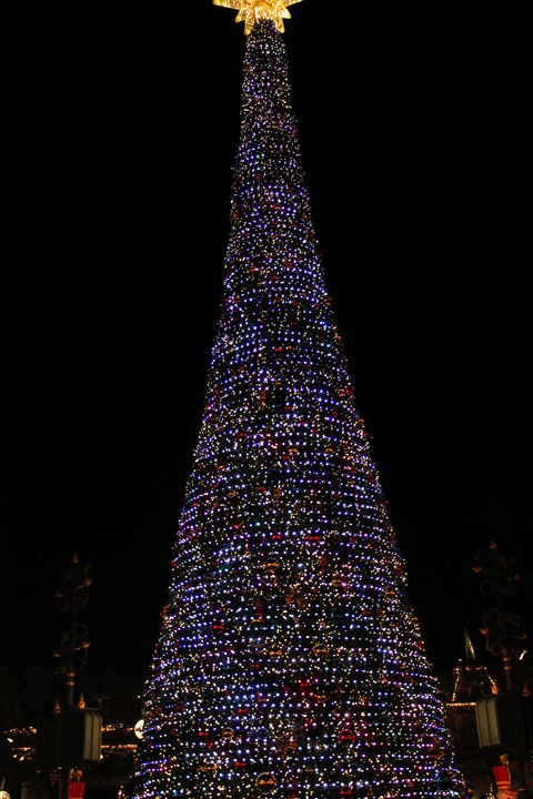 香港・マカオ 564