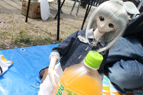 大阪城公園花見 106