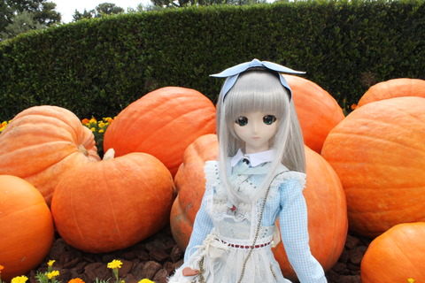 ディズニーハロウィン 140